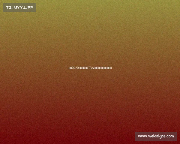 武汉2020年赛事—武汉TGA电竞赛事精彩赛程安排聚焦